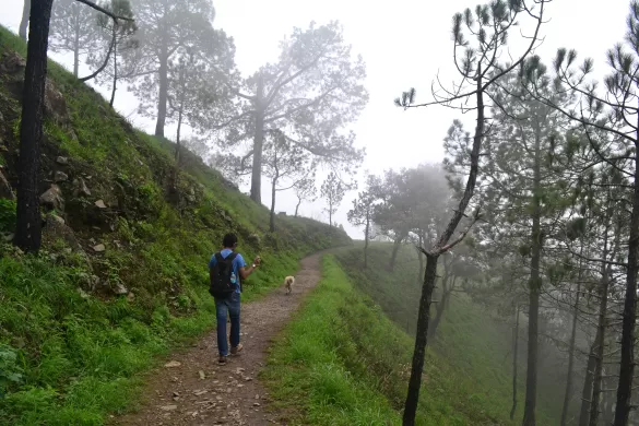 Photo of Kasauli, Himachal Pradesh, India by Mohit Behl