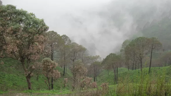 Photo of Kasauli, Himachal Pradesh, India by Mohit Behl