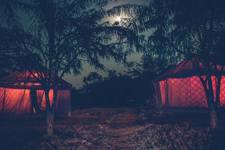 Photo of Bikamp Aravallis Camp Resort, Beri K Hanuman Ji Road, Norang Pura, Rajasthan, India by Mohit Behl