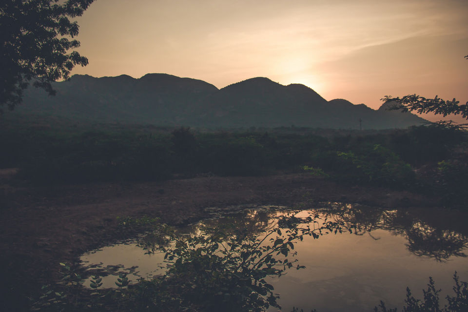 Photo of Bikamp Aravallis Camp Resort, Beri K Hanuman Ji Road, Norang Pura, Rajasthan, India by Mohit Behl