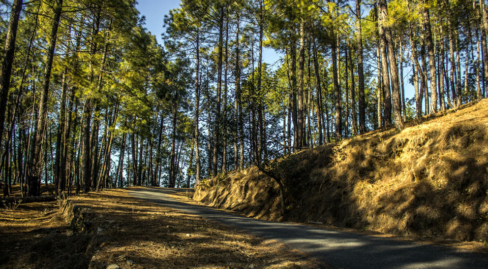 Photo of Binsar, Uttarakhand, India by Mohit Behl