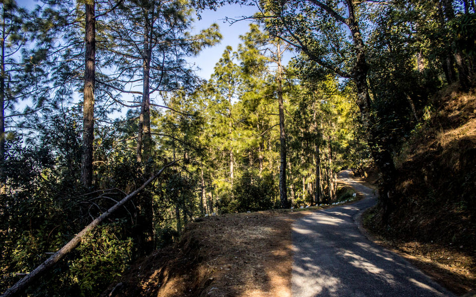 Photo of Binsar, Uttarakhand, India by Mohit Behl