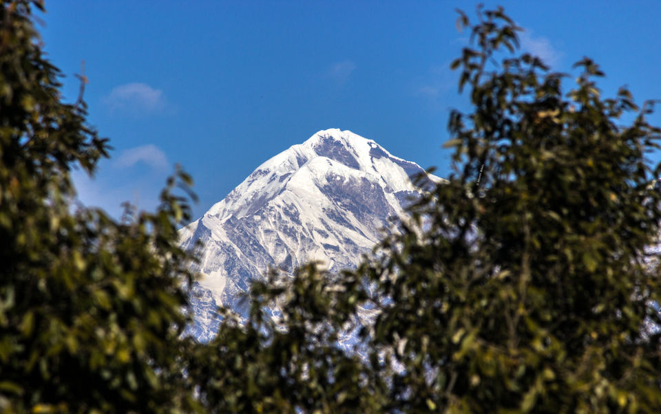 Photo of Binsar, Uttarakhand, India by Mohit Behl