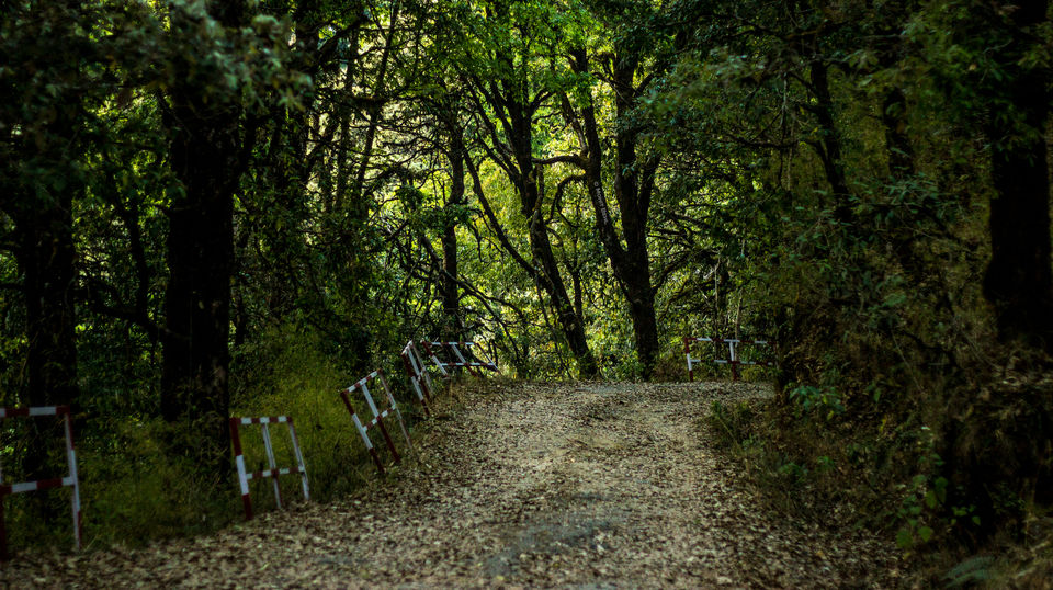 Photo of Binsar - Well-known Yet Unexplored Side of Himalaya by Mohit Behl