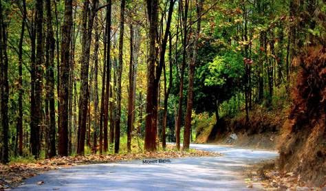 Photo of TSONGMO LAKE – A MISADVENTURE OF THE PLACID KIND 1/8 by Mohit Behl