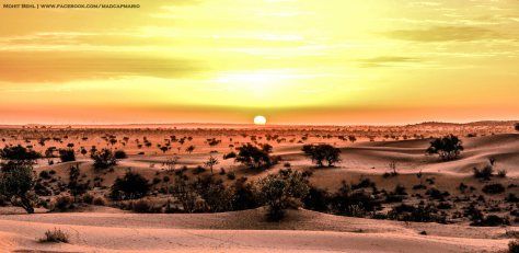 Photo of Registhan Guest House - An Oasis In The Thar 4/4 by Mohit Behl