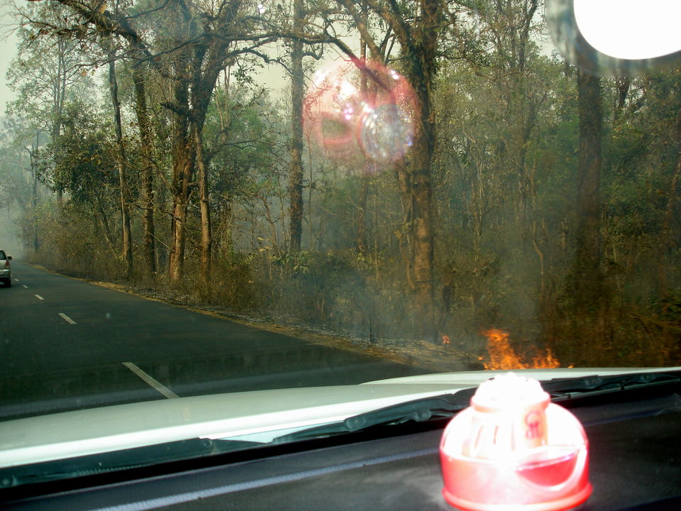 Photo of Siliguri by Avanija Sundaramurti