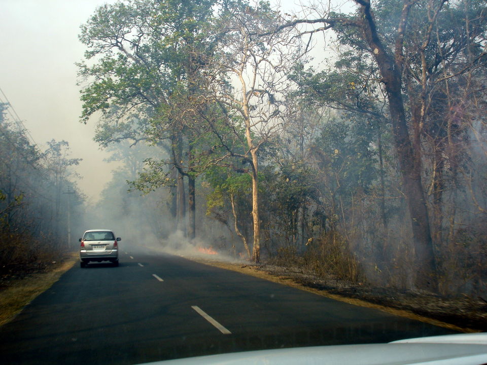 Photo of Siliguri by Avanija Sundaramurti