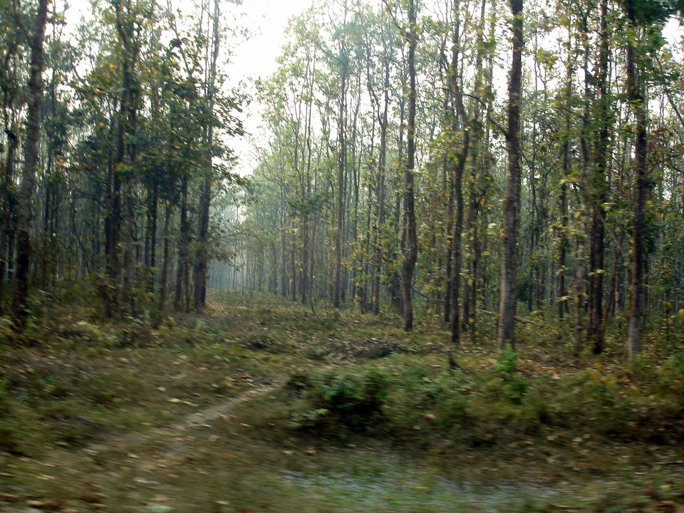 Photo of Siliguri by Avanija Sundaramurti