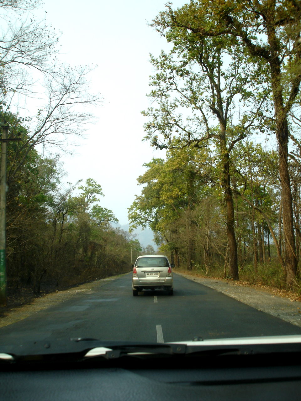 Photo of Siliguri by Avanija Sundaramurti