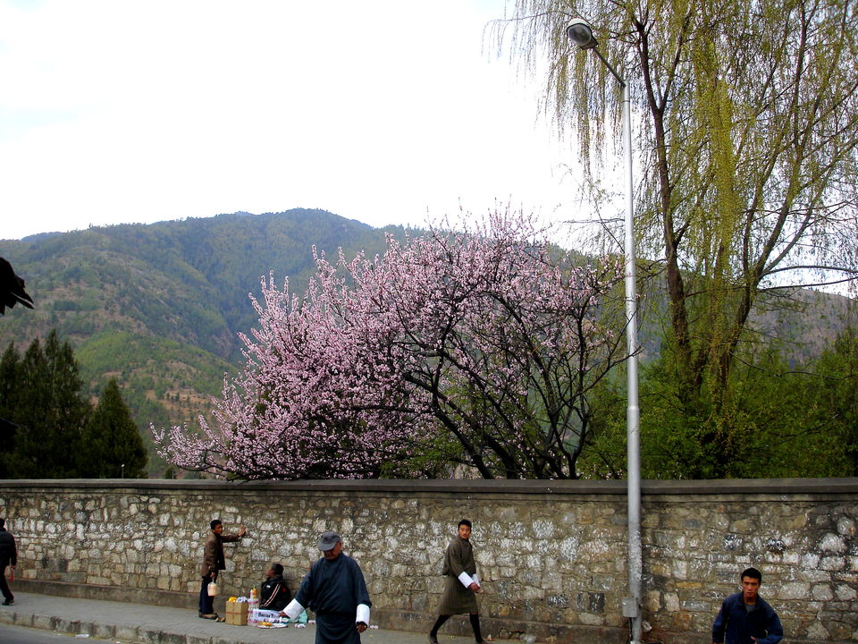 Photo of Thimphu by Avanija Sundaramurti