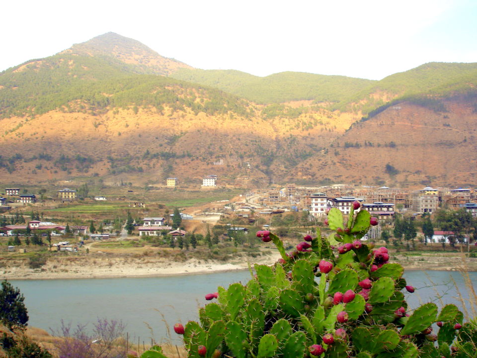 Photo of Wangdue Phodrang by Avanija Sundaramurti