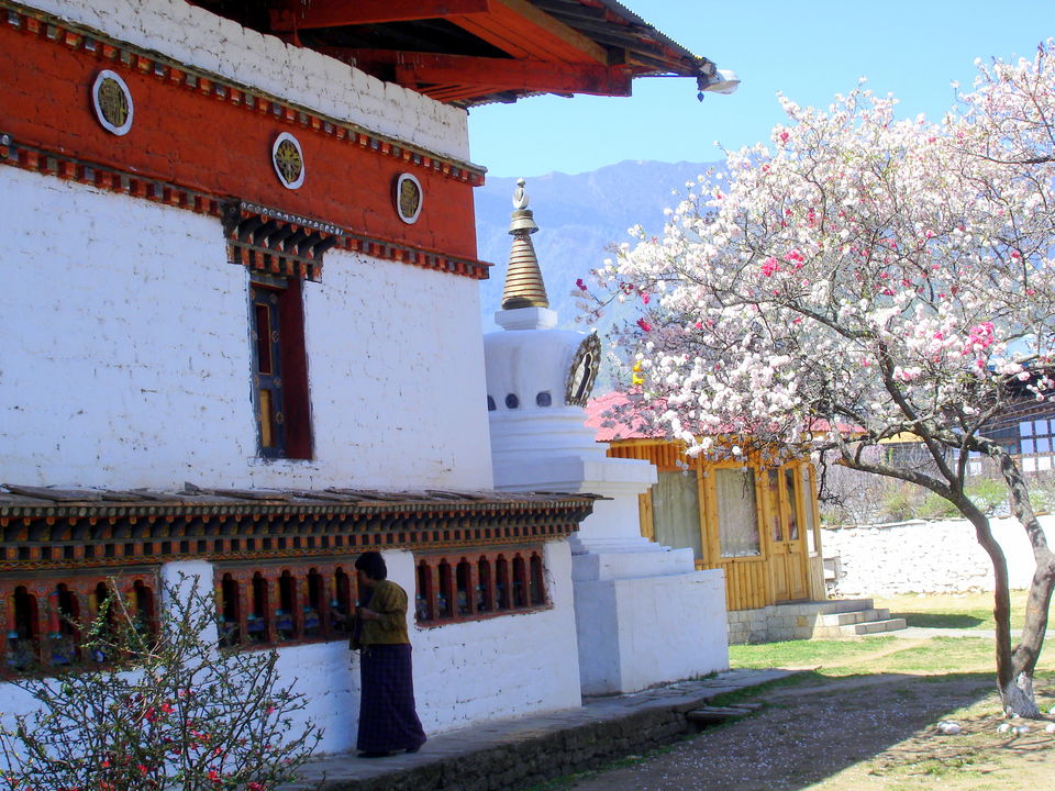 Photo of Paro by Avanija Sundaramurti