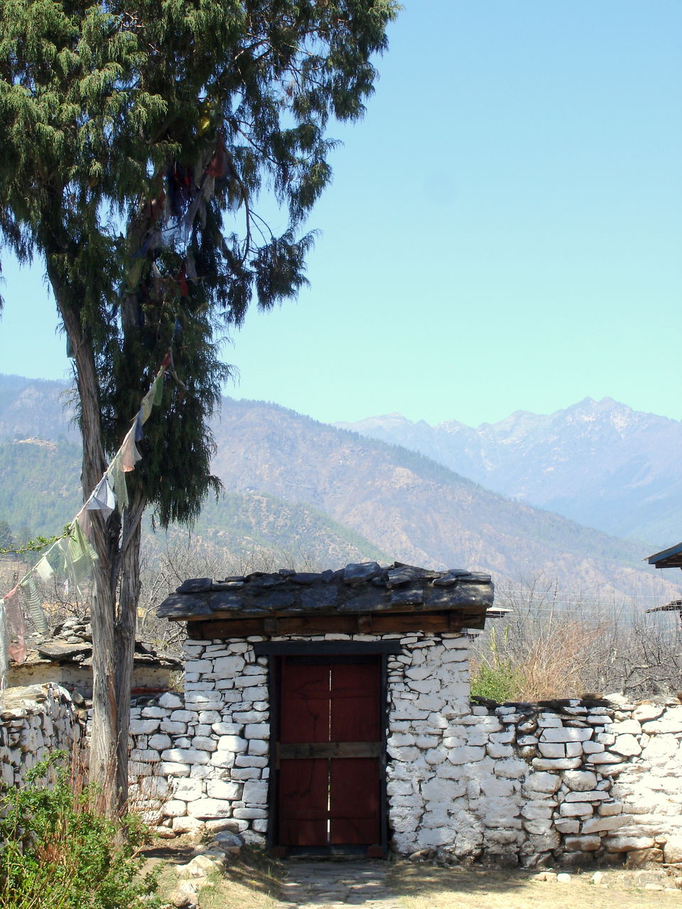 Photo of Paro by Avanija Sundaramurti