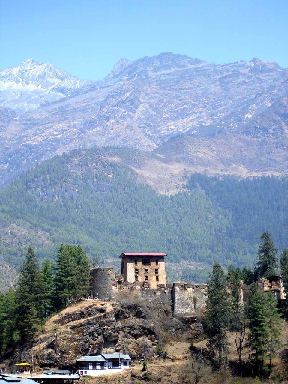 Photo of Paro by Avanija Sundaramurti
