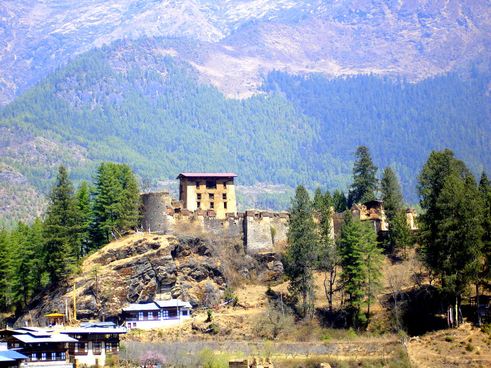 Photo of Paro by Avanija Sundaramurti