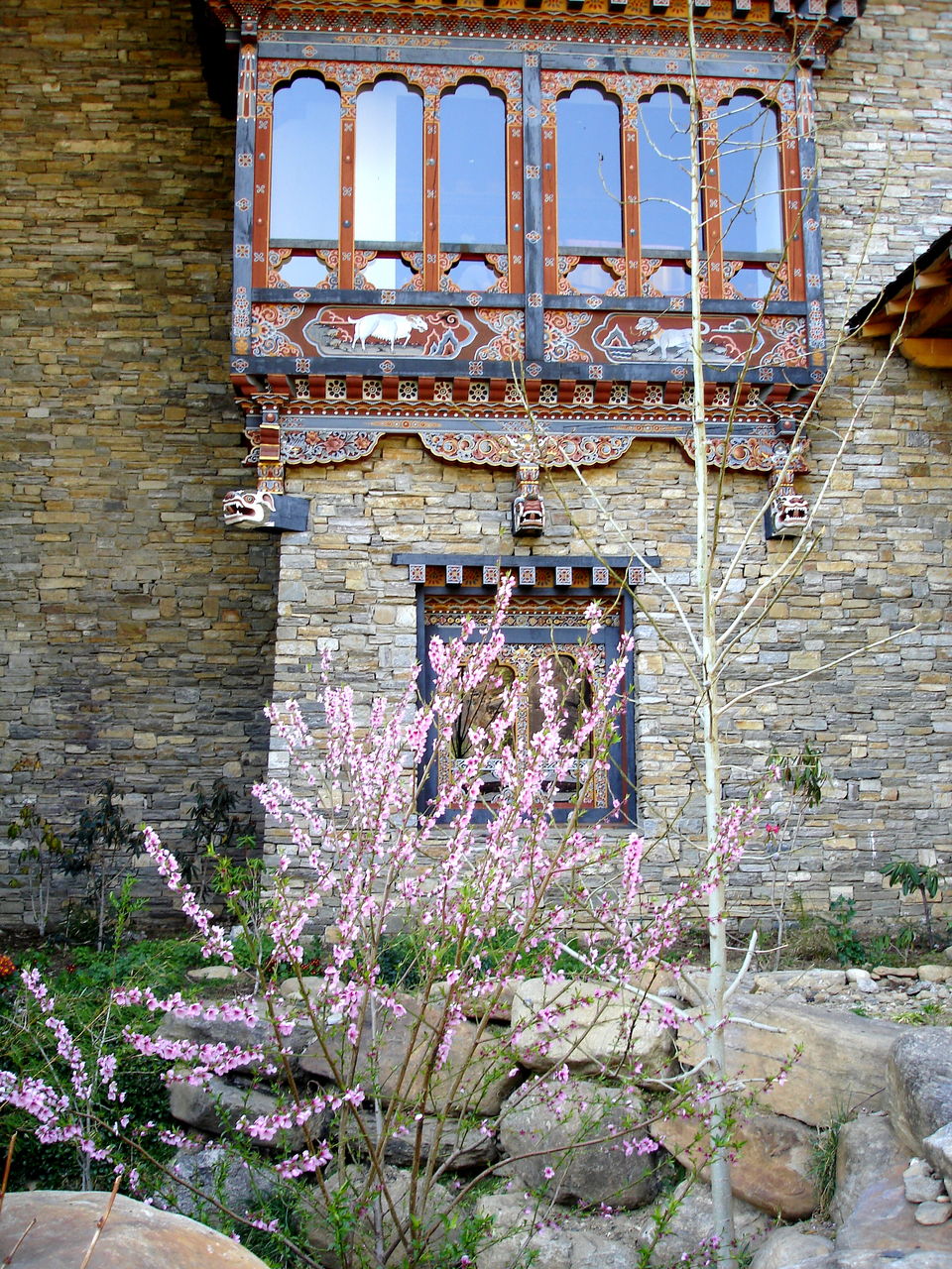 Photo of Paro by Avanija Sundaramurti