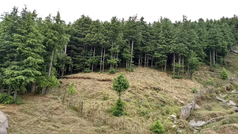 Photo of 05 reasons why the Churdhar trek an awe-inspiring trek for mountain lovers. by Rahul Chaudhary