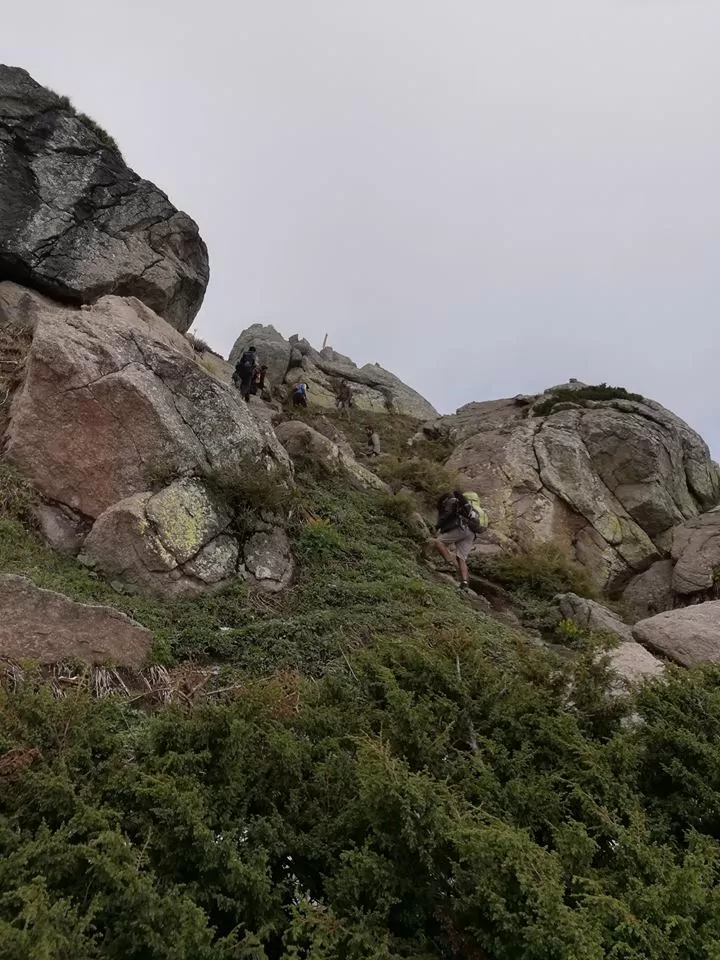 Photo of 05 reasons why the Churdhar trek an awe-inspiring trek for mountain lovers. by Rahul Chaudhary