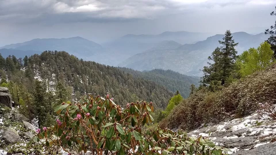 Photo of 05 reasons why the Churdhar trek an awe-inspiring trek for mountain lovers. by Rahul Chaudhary