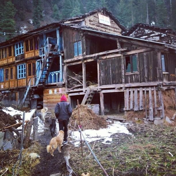 Photo of Parvati Valley, A Valley Of Happiness & Love 14/16 by Rahul Chaudhary