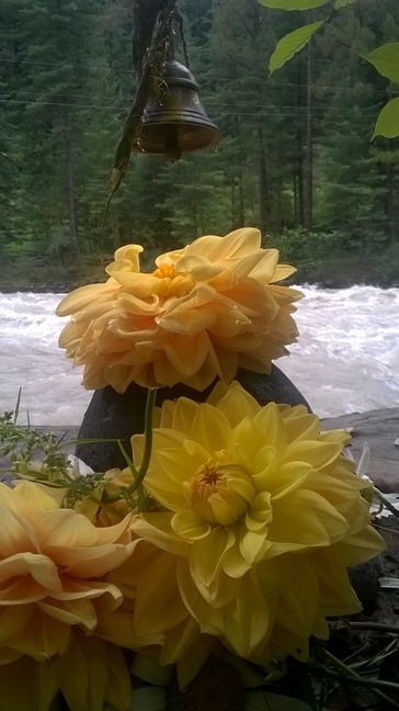 Photo of parvati Valley, Khir Ganga, Himachal Pradesh, India by Rahul Chaudhary