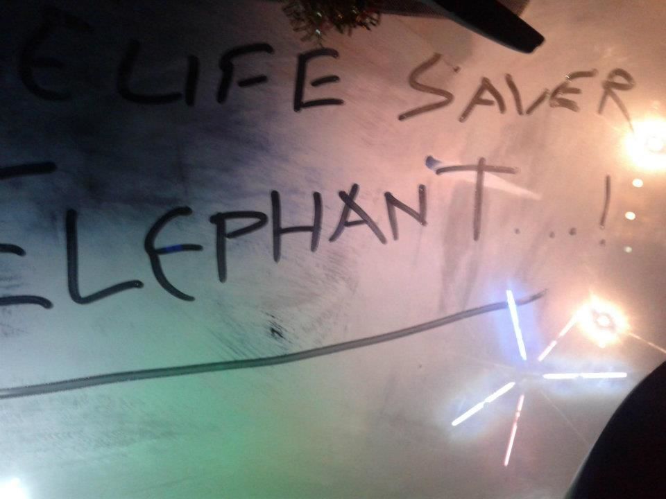 Photo of AN ORDEAL WITH A LIFE SAVER GIANT! 1/1 by Rahul Chaudhary