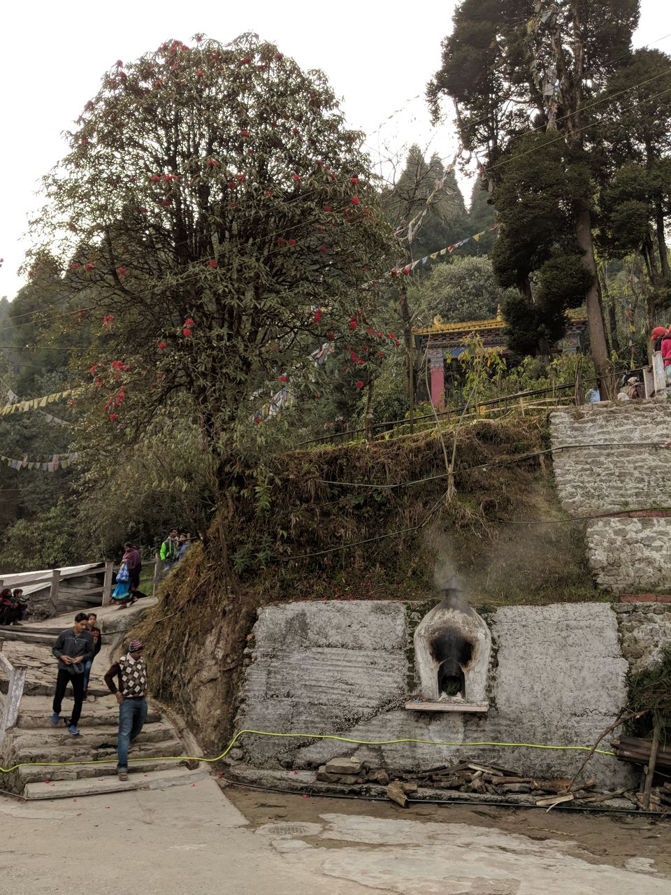 Photo of Tiger Hill, West Bengal by Tashika Tyagi