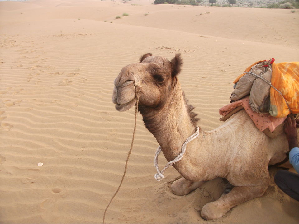 Photo of Thar Desert, Rajasthan, India by Samantha Mascarenhas