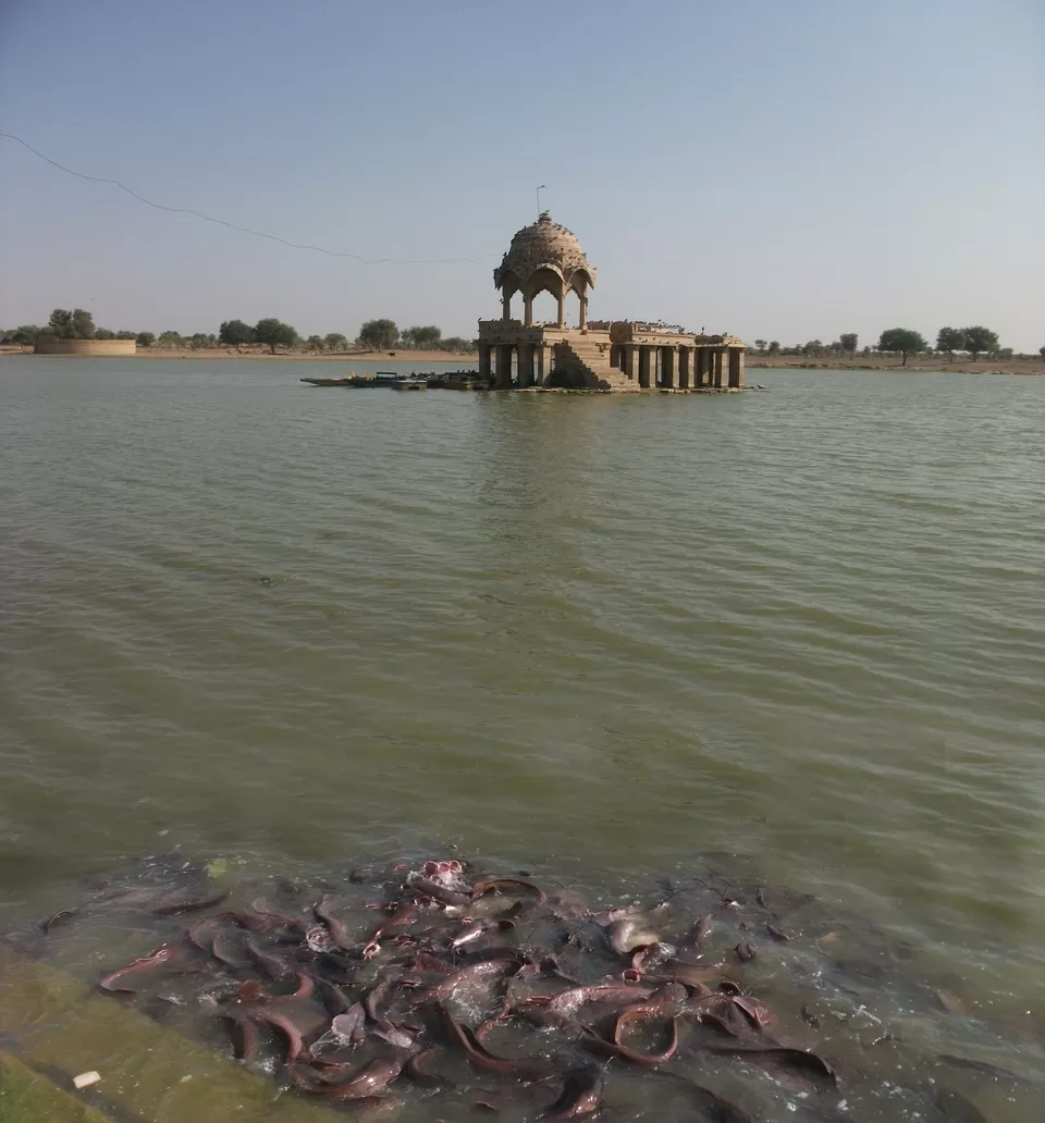 Photo of Gadisar Lake, Postal Colony, Jaisalmer, Rajasthan, India by Samantha Mascarenhas