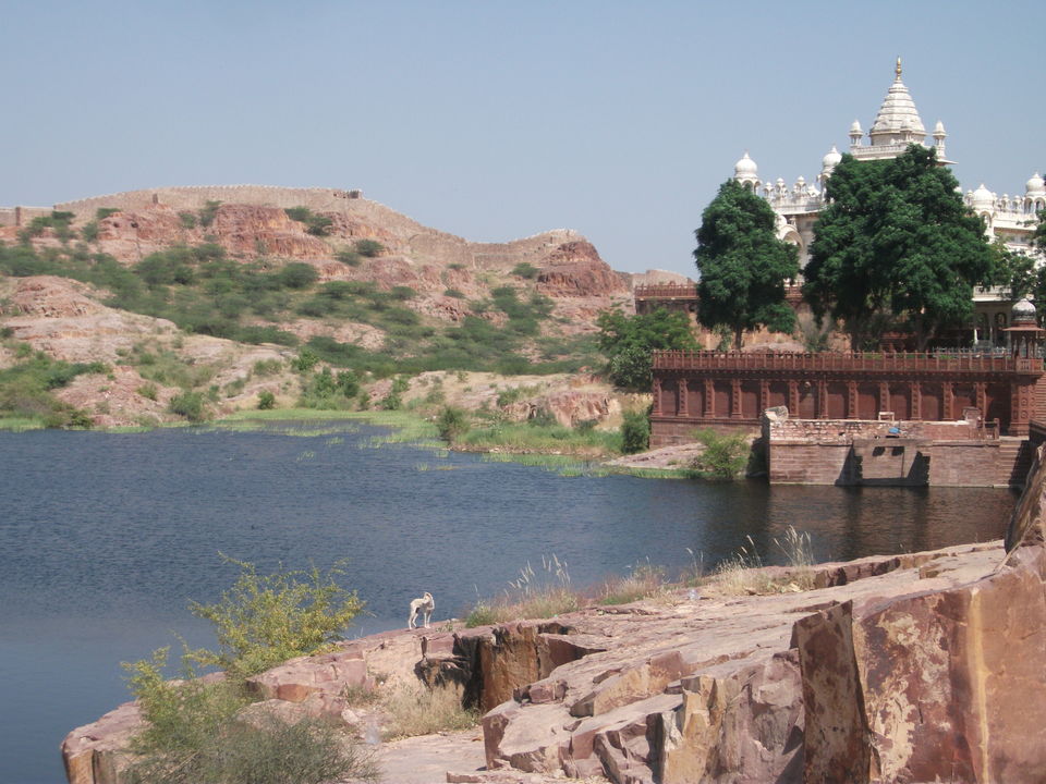 Photo of Jaswant Thada, Lawaran, Jodhpur, Rajasthan, India by Samantha Mascarenhas