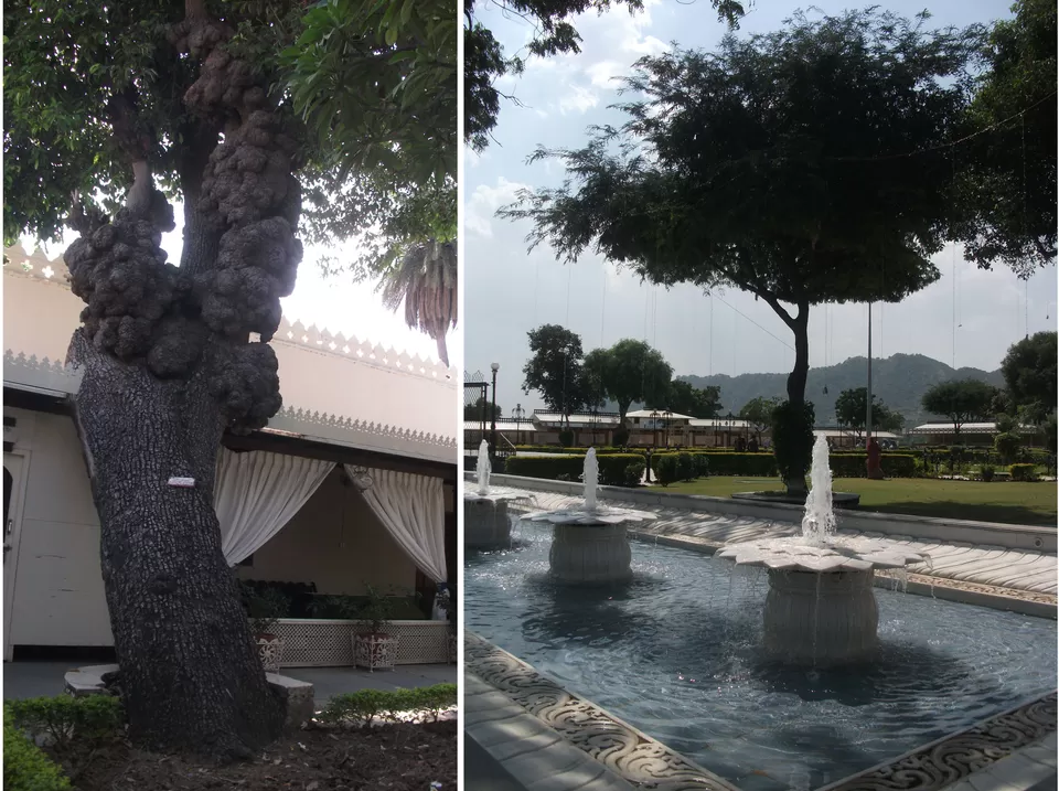 Photo of Jagmandir Island Palace, Udaipur, Rajasthan, India by Samantha Mascarenhas