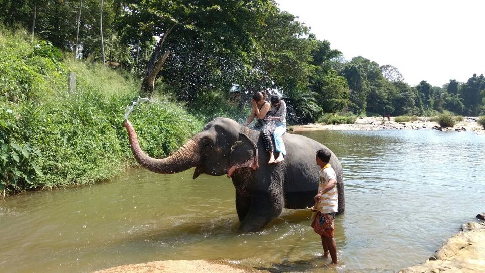 Photo of Pinnawala Elephant Orphanage, B199, Rambukkana, Sri Lanka by Samantha Mascarenhas