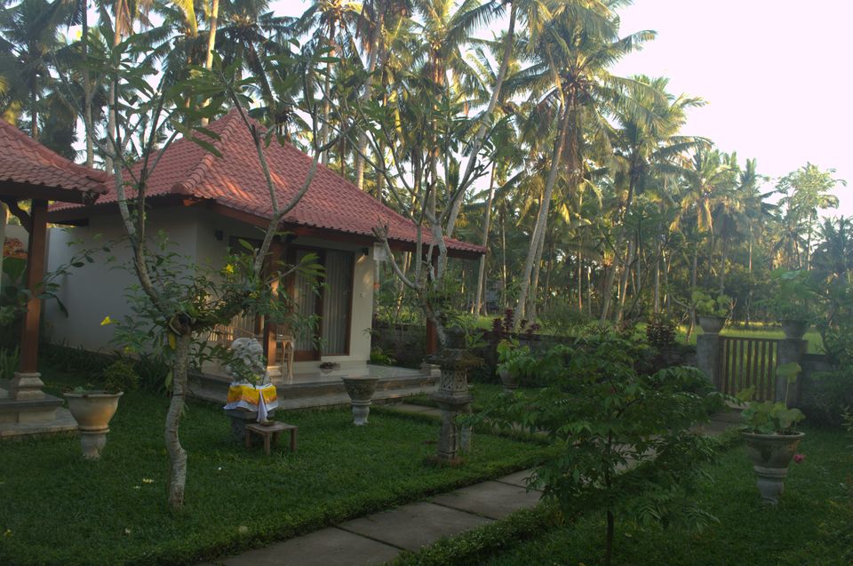 Photo of Parthi Puri Ubud, Br. Silungan, Lodtunduh, Gianyar, Bali, Indonesia by Samantha Mascarenhas