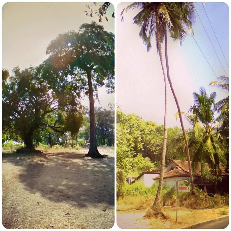 Photo of Along the coastline of Goa on two wheels 6/42 by Samantha Mascarenhas
