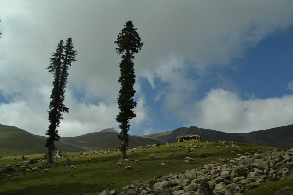 Photo of Wandering Kashmir's Great Lakes 5/18 by Vaisakh