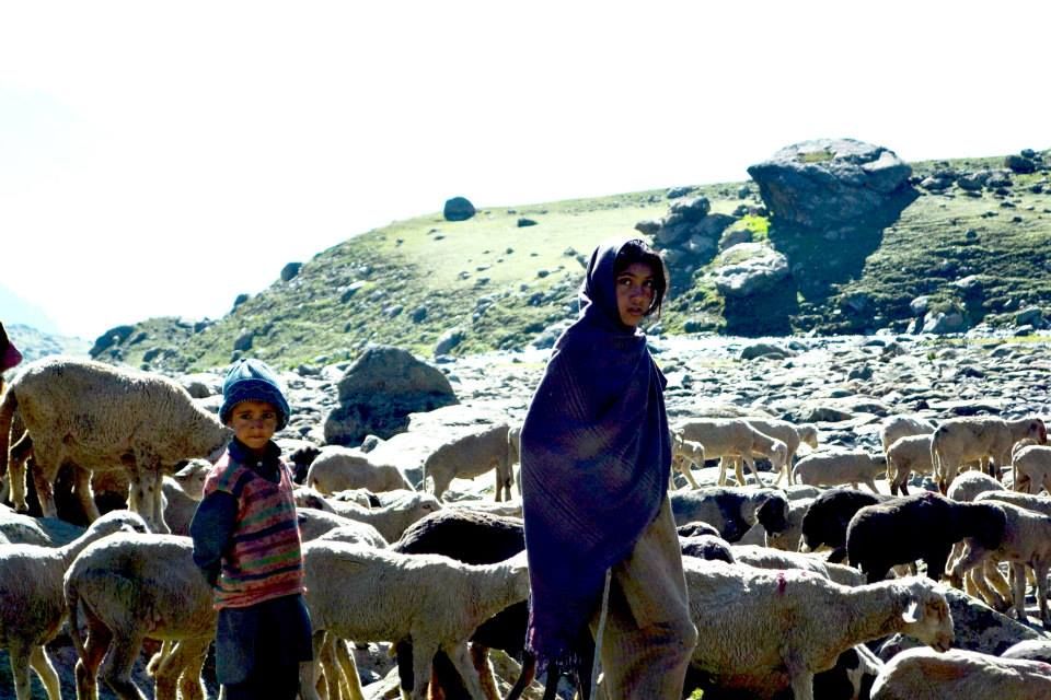 Photo of Wandering Kashmir's Great Lakes 16/18 by Vaisakh