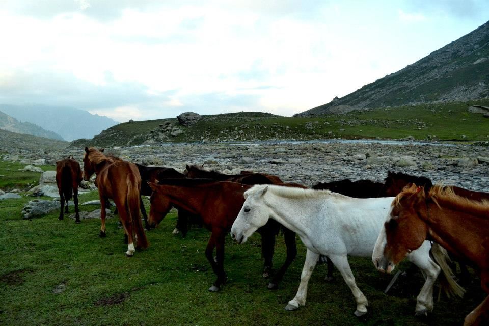 Photo of Wandering Kashmir's Great Lakes 4/18 by Vaisakh