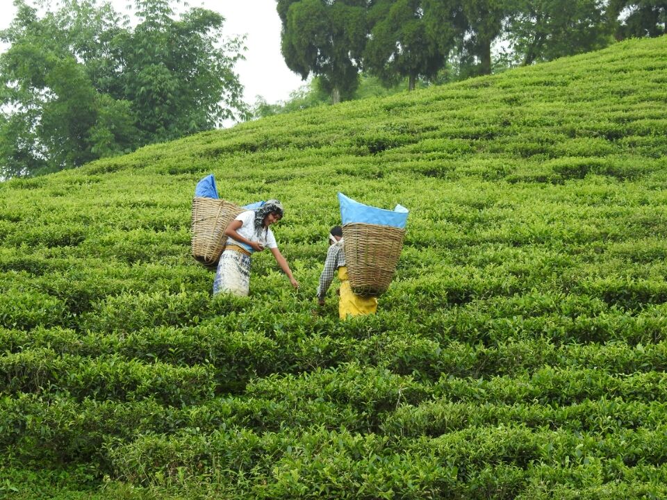Photo of Going to Mountains is like going to Home:- East Sikkim and Bhutan by shivani