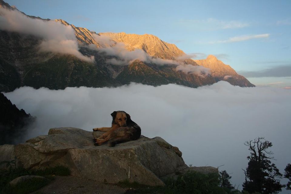 Photo of Backpacking in Himachal 10/21 by Aditi Rai