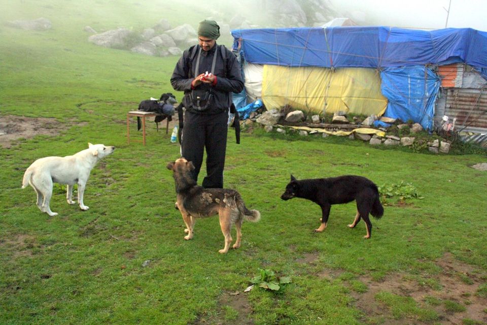 Photo of Backpacking in Himachal 8/21 by Aditi Rai