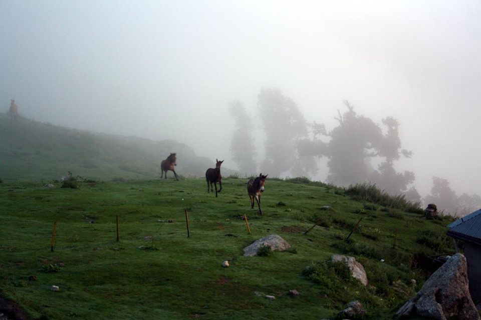 Photo of Backpacking in Himachal 11/21 by Aditi Rai