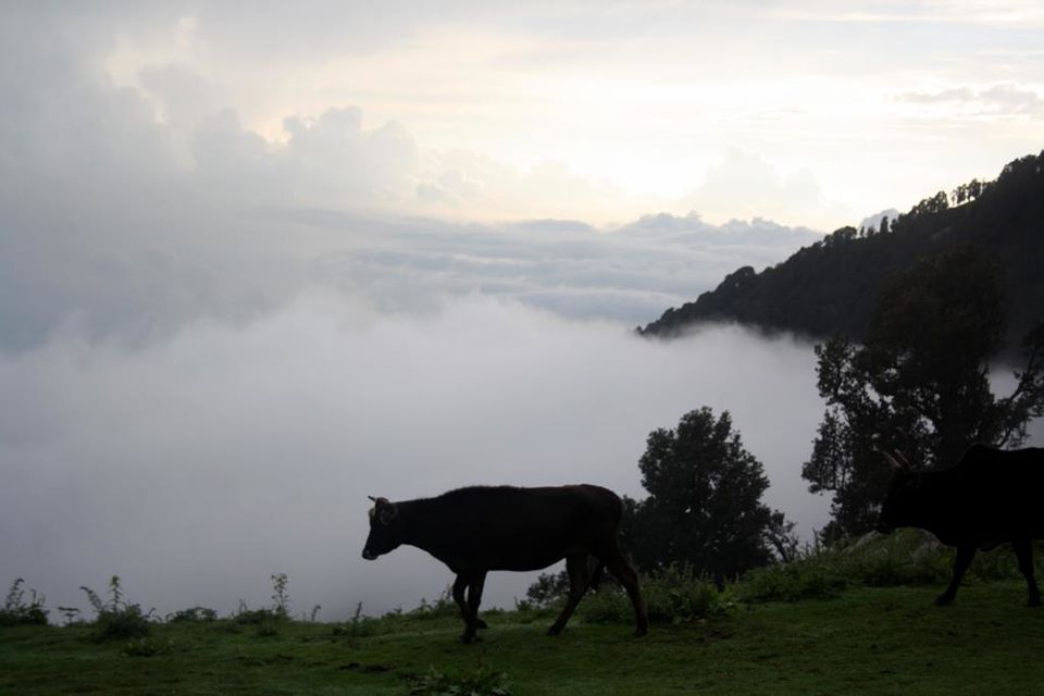 Photo of Backpacking in Himachal 2/21 by Aditi Rai