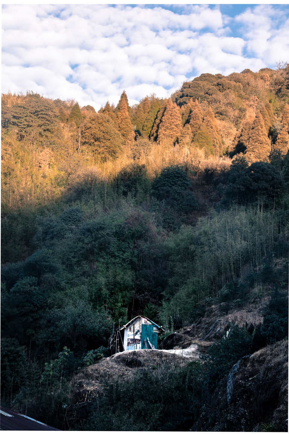 Photo of Sandakphu trek with unknown travellers by Rupam Chaudhuri