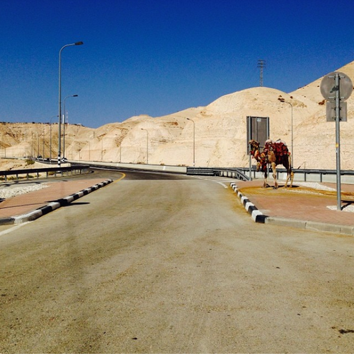 Photo of 7 days in Israel 19/24 by Patricia