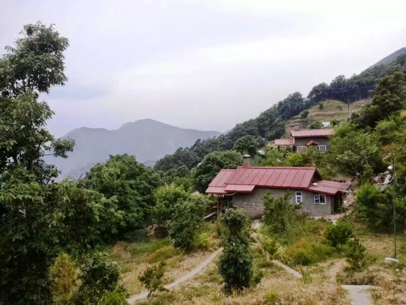 Photo of Kafal House, Deema Range, Uttarakhand, India by Nancy Agarwal