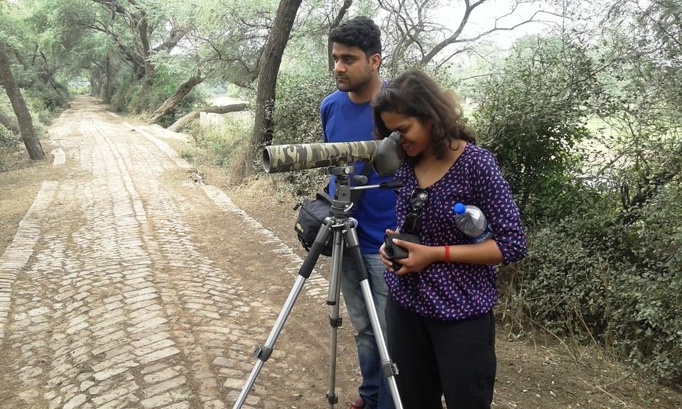Photo of Biking Trip to Bharatpur, Rajasthan 3/21 by Nancy Agarwal
