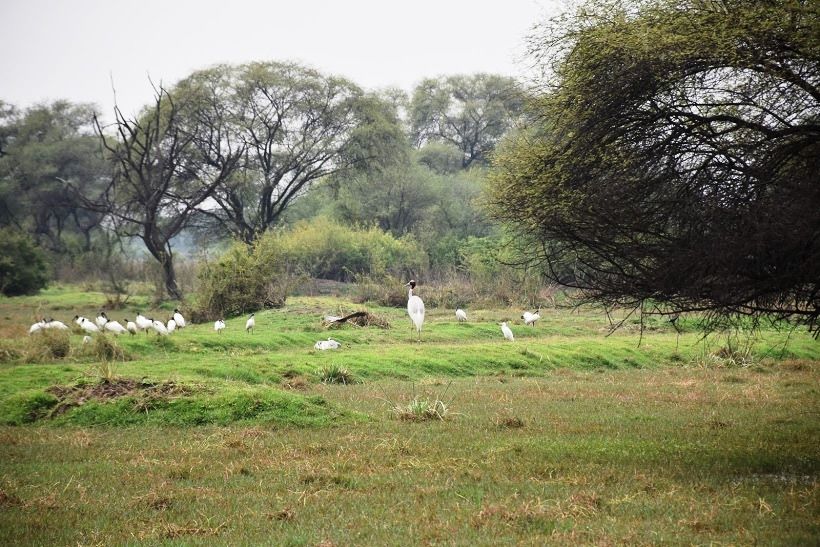 Photo of Biking Trip to Bharatpur, Rajasthan 14/21 by Nancy Agarwal