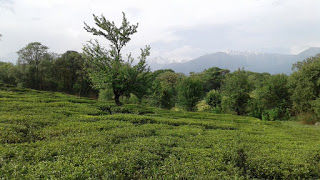 Photo of Adventure plus Nature- Prashar lake, Mndi, Himachal 24/26 by Nancy Agarwal