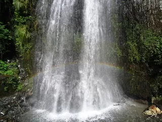 Photo of Himachal Pradesh, India by Nancy Agarwal